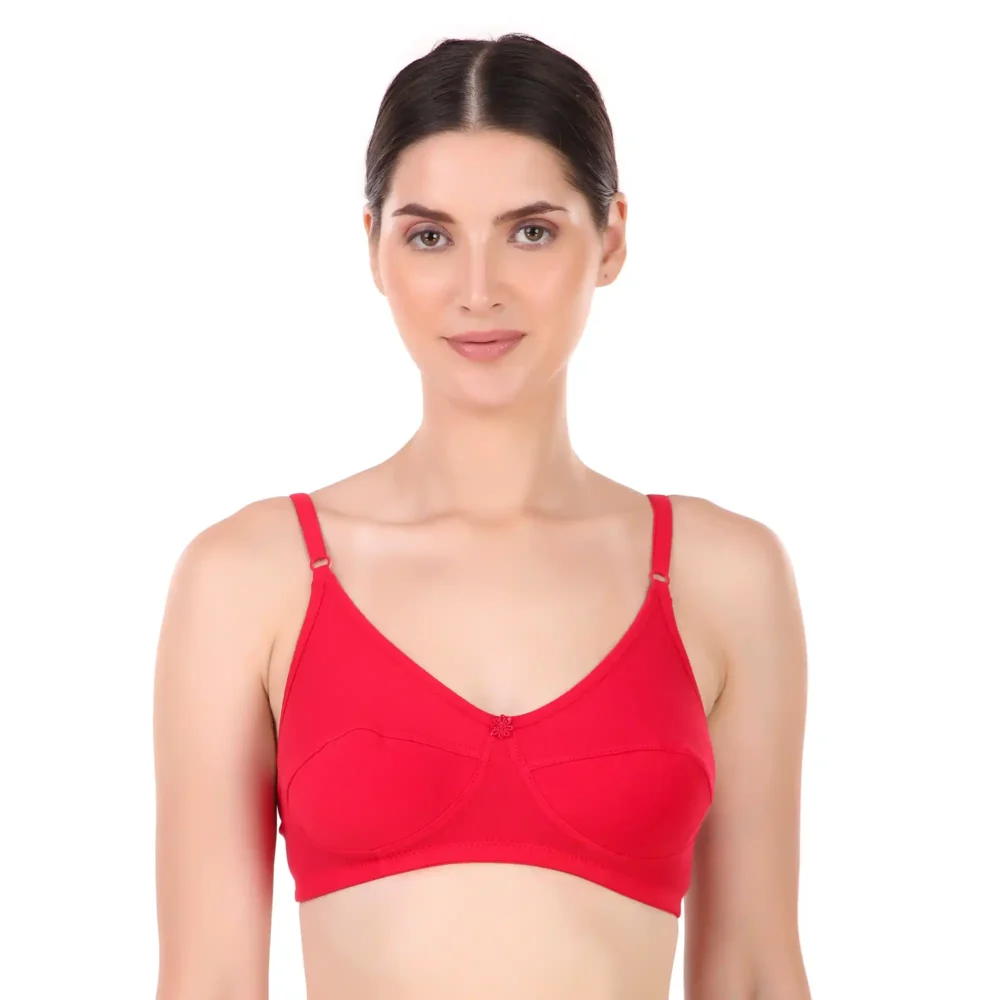 Femina Bra - Image 7