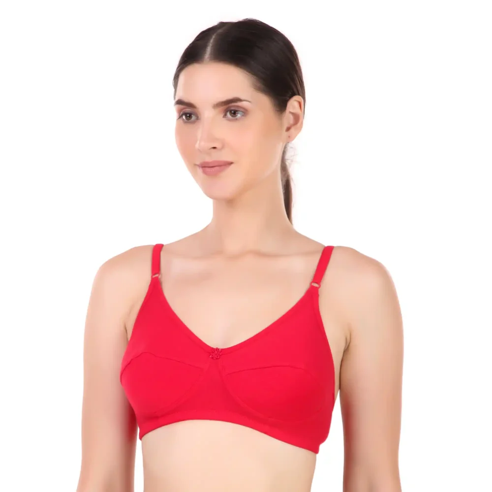 Femina Bra - Image 5