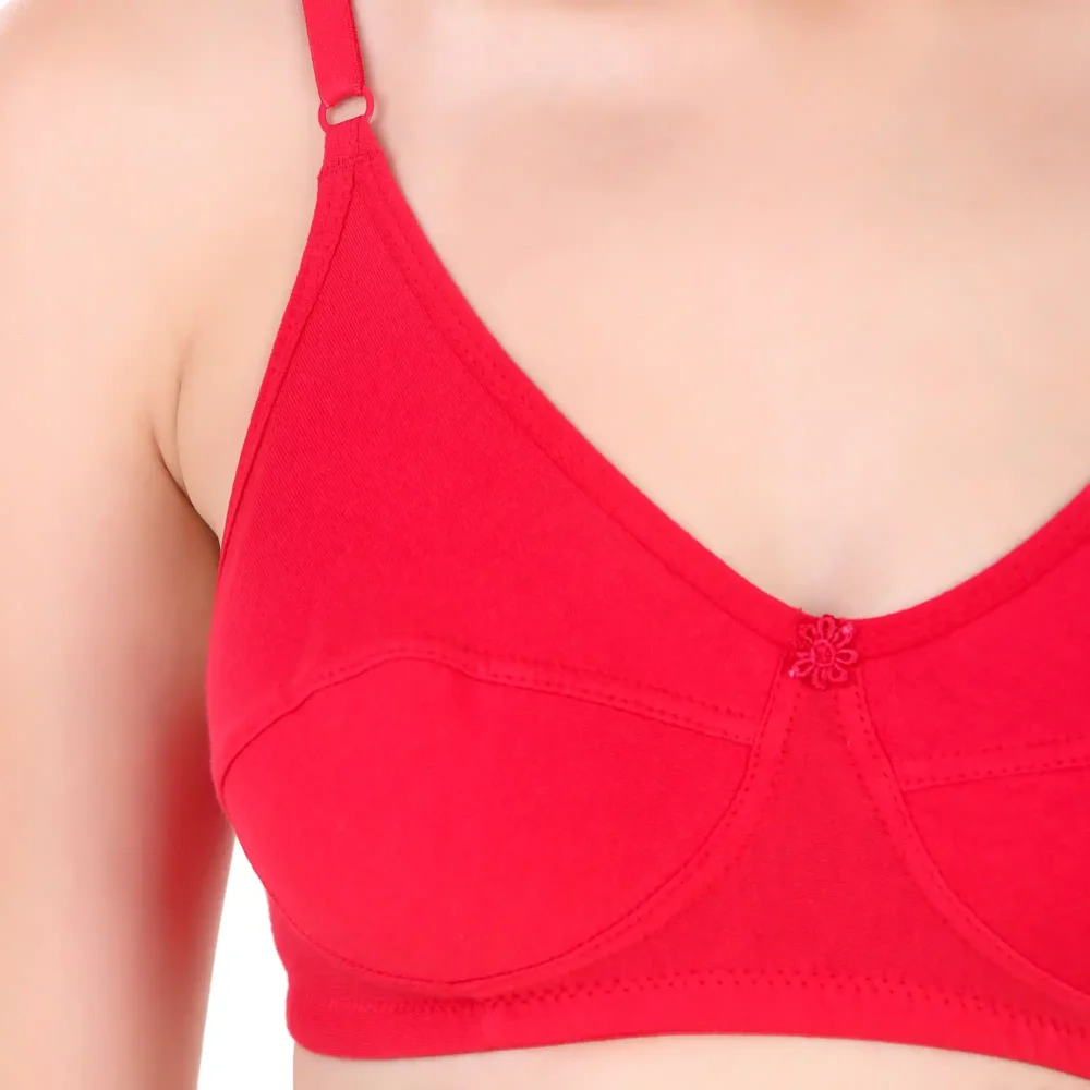Femina Bra - Image 3